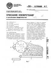 Кормораздатчик (патент 1279569)