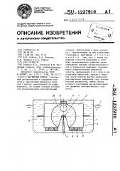 Магнитный компас (патент 1237910)