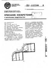 Устройство для крепления при слоевой выемке мощных пологих пластов (патент 1157246)