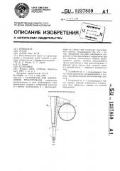 Устройство для закрепления трубопровода (патент 1237859)