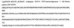 Новая вирусная векторная конструкция для нейронспецифического оптимизированного непрерывного синтеза dopa in vivo (патент 2606012)
