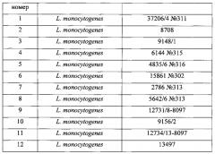 Способ определения сапрофитных бактерий, стимулирующих рост listeria monocytogenes в морских микробных сообществах (патент 2572572)