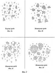 Структурированная композиция связующего агента (патент 2526920)