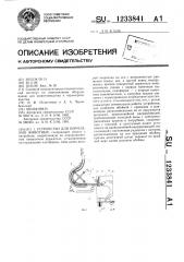 Устройство для кормления животных (патент 1233841)