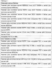 Нацеленные/иммуномодулирующие слитые белки и способы их получения (патент 2636342)