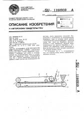 Установка для предпосевной обработки семян (патент 1160959)