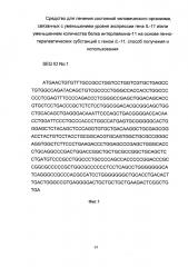Средство для лечения состояний человеческого организма, связанных с уменьшением уровня экспрессии гена il-11 и/или уменьшением количества белка интерлейкина-11 на основе генно-терапевтических субстанций с геном il-11, способ получения и использования (патент 2651048)