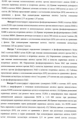 Чипы на основе антител для определения множественных трансдукторов сигналов в редких циркулирующих клетках (патент 2442171)