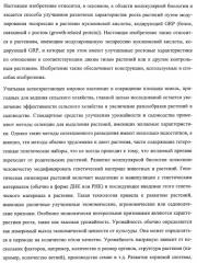 Растения, имеющие улучшенные характеристики роста, и способы их получения (патент 2463352)
