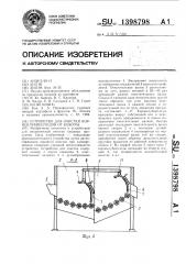 Устройство для очистки корнеклубнеплодов от кожуры (патент 1398798)