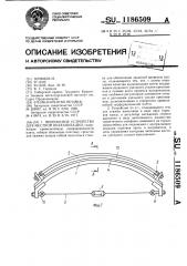 Переносное устройство для местной вулканизации (патент 1186509)