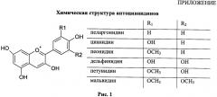 Способ количественного определения антоцианов в лекарственном растительном сырье (патент 2557953)