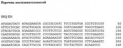 Клеточная линия hufshik, секретирующая рекомбинантный человеческий фсг (патент 2502798)