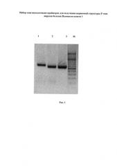 Набор олигонуклеотидов-праймеров для получения первичной структуры f гена вирусов болезни ньюкасла класса i (патент 2590718)