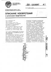 Способ генерирования акустических колебаний и устройство для его осуществления (патент 1318307)