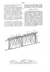 Способ формирования виноградных кустов (патент 1628957)