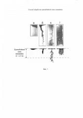 Способ обработки призабойной зоны скважины (патент 2576252)