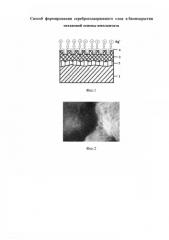 Способ формирования серебросодержащего биопокрытия титанового имплантата (патент 2581825)