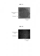 Раствор для формирования металлической пленки и способ формирования металлической пленки (патент 2614655)