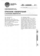 Винтовая пружина (патент 1384849)