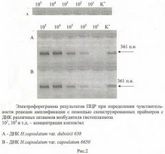 Олигонуклеотидные праймеры для идентификации возбудителя гистоплазмоза histoplasma capsulatum (патент 2464318)