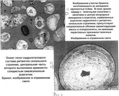 Способ переработки железной руды оолитового строения и устройство для его реализации (патент 2568802)