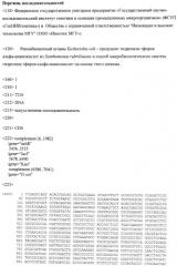 Рекомбинантный штамм escherichia coli - продуцент гидролазы эфиров альфа-аминокислот из xanthomonas rubrilineans и способ микробиологического синтеза гидролазы эфиров альфа-аминокислот на основе этого штамма (патент 2499830)