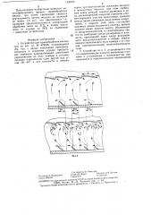 Устройство для термообработки мясных туш (патент 1330429)