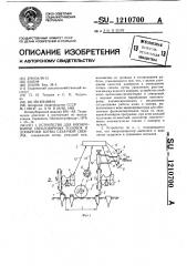 Устройство для копирования свекловичных головок и дообрезки ботвы сахарной свеклы (патент 1210700)