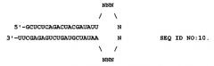 Iphk-опосредованное ингибирование связанных с фактором некроза опухоли альфа состояний (патент 2469090)