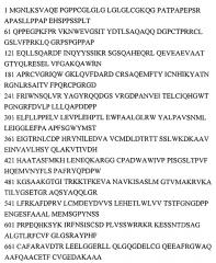 Способ повышения фармакологической активности активированной-потенцированной формы антител к простатоспецифическому антигену и фармацевтическая композиция (патент 2651005)