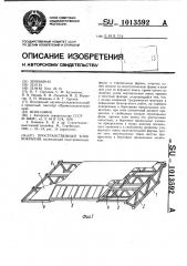 Пространственный блок покрытия (патент 1013592)