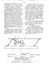 Вибрационный питатель (патент 722816)