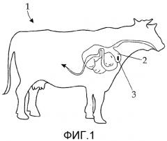 Устройство для измерения данных отдельного сельскохозяйственного животного (патент 2548878)