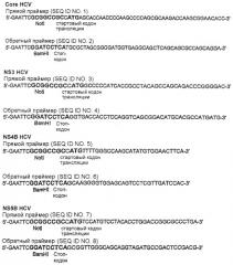 Вакцина против hcv (патент 2323744)