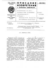 Анкерная крепь (патент 891952)