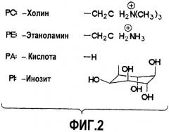 Ферментативное обессмоливание с использованием смеси фосфолипаз pla и plc (патент 2477746)