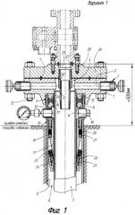 Устьевое оборудование скважины "пермь" (варианты) (патент 2269641)
