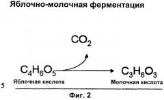 Пробиотический сокосодержащий напиток (патент 2525927)