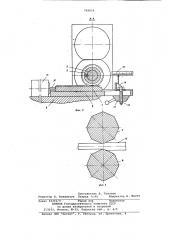 Роликовая волока (патент 799856)