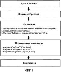 Компьютеризованное средство имитационного моделирования для предоставления помощи в планировании термотерапии (патент 2568344)