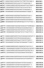 Способ генетической паспортизации штаммов bacillus thuringiensis с помощью проведения мультиплексного экспресс-анализа референтных последовательностей днк (патент 2627178)