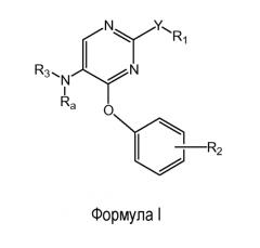 Феноксизамещенные пиримидины для использования в качестве модуляторов опиоидных рецепторов (патент 2554870)
