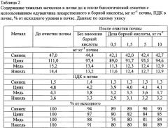 Способ биологической очистки почв от тяжелых металлов (патент 2342822)