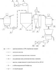 Способ получения биосорбентов (патент 2273516)