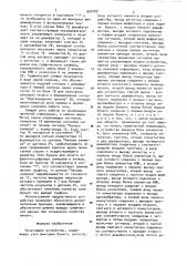 Печатающее устройство (патент 924729)