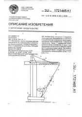 Устройство для нагружения грузоподъемного крана (патент 1721465)
