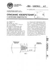 Анаморфотная насадка (патент 1247811)