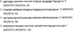 Антитело, селективное в отношении рецептора лиганда, индуцирующего апоптоз и связанного с фактором некроза опухоли, и его применение (патент 2313537)