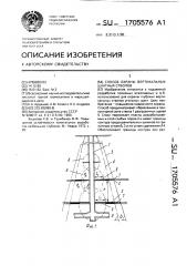 Способ охраны вертикальных шахтных стволов (патент 1705576)